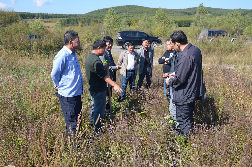 ���쵼�Ӳ�۹�����