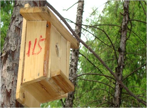 ����Ұ�����